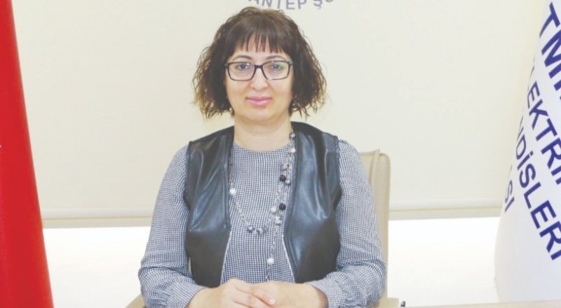 Elektrik kesintilerinin nedeni altyapı ve bakım çalışmaları
