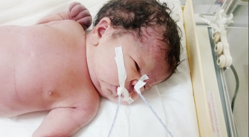 Elif Naz'ın tedavisini hiçbir hastane kabul etmiyor