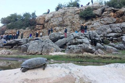 Emniyetli inişler ve kaya tırmanışı eğitimleri için kamp yaptılar