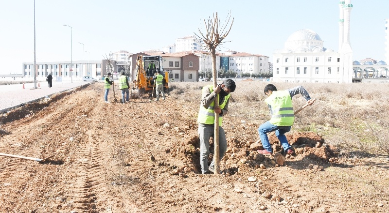 En değerli miras, yeşil alanlarımız olacak