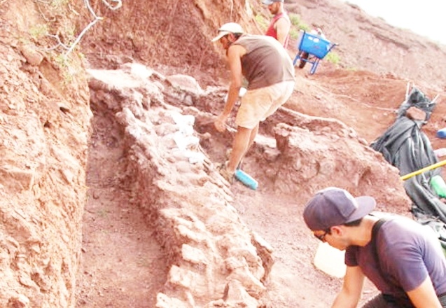 En eski dinozor topluluğuna ait fosiller bulundu
