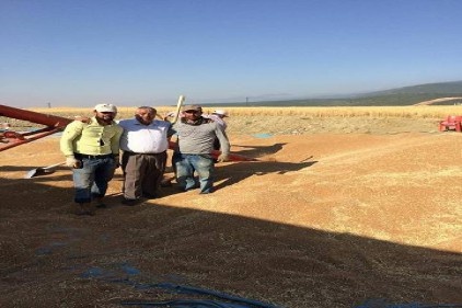 En fazla buğday alımı yapan çiftçi borsada en fazla tescili yaptırdı