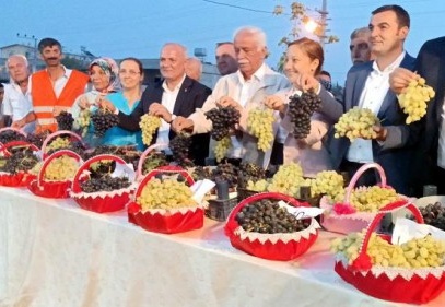 En güzel üzüm seçildi 