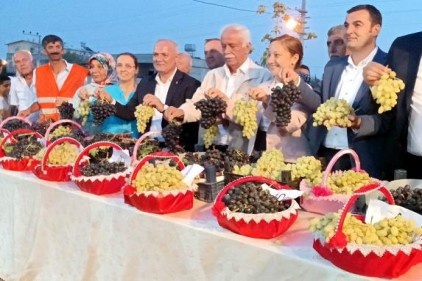 En güzel üzüm seçildi 