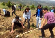 En güzelini onlar yaptı