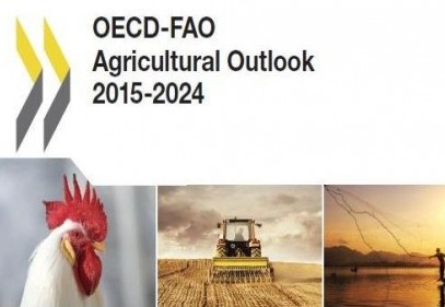 En hızlı büyüyecek ülkeler Türkiye, Şili ve Avustralya