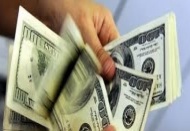 En yüksek aylık getiri, yüzde 3.95 oranlarıyla dolarda gerçekleşti