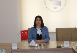 Enerjide dışa bağımlılığın sonuçlarını yaşıyoruz