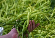 Enflasyon Ocak’ta yüzde 1,06 arttı