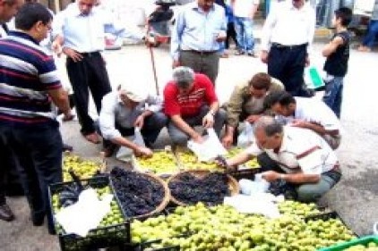 Enflasyon sepetindeki 52 mal ve hizmetin fiyatında gerileme oldu