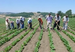 Enflasyonda çiftçinin sorumluluğu yok