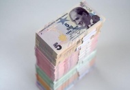 Engellilere ve eski hükümlülere devlet desteği