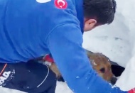 Enkaz altında kalan köpeği AFAD ekipleri kurtardı