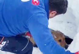 Enkaz altında kalan köpeği AFAD ekipleri kurtardı