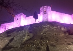 Epilepsi Farkındalık Günü’nde kale mor ışıkla aydınlatıldı