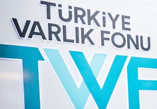 Erdoğdu: Türkiye Varlık Fonu, belirlenen ilkelere uymuyor
