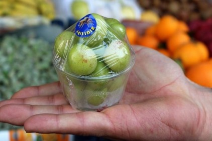 Eriğin tanesi 2 lira dutun kilosu 100 lira