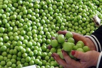 Erik 300&#8217;den 5&#8217;e düştü