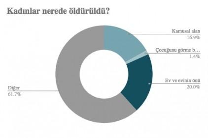 Erkekler, 2017 yılında 290 kadın ve 22 çocuk öldürdü 