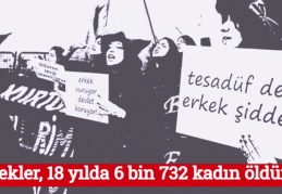 Erkekler, 18 yılda 6 bin 732 kadın öldürdü