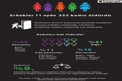 Erkekler son 11 ayda 255 kadın öldürdü 