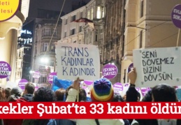 Erkekler Şubat’ta 33 kadını daha öldürdü