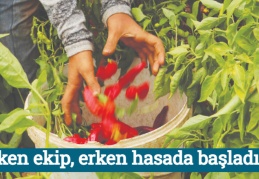 “Erken ekip, erken hasada başladık”