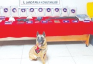 Eroini çöp kovasına sakladılar