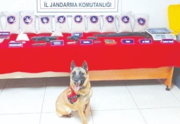 Eroini çöp kovasına sakladılar