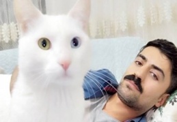 Eşinden hatıra kalan kedisi için 190 bin lira harcadı ama onu hayatta tutamadı 