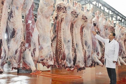 ESK kombinalarını kasaplara açacak