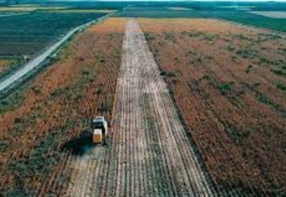 Eski ZMO Başkanı Günaydın uyardı: Gıdada kritik eşik aşıldı