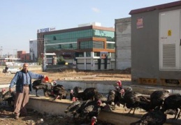 “Esnaf, belediye yetkililerine sitem etti”