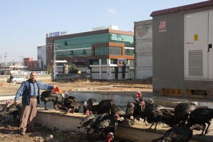 &#8220;Esnaf, belediye yetkililerine sitem etti&#8221;