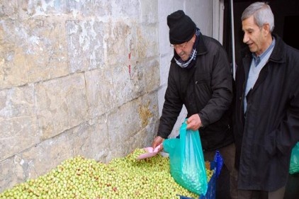 Esnaf yeşil zeytinin satışından memnun değil 