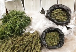 Esrar yetiştirmek için odaya kurduğu sistem polisleri de şaşırttı