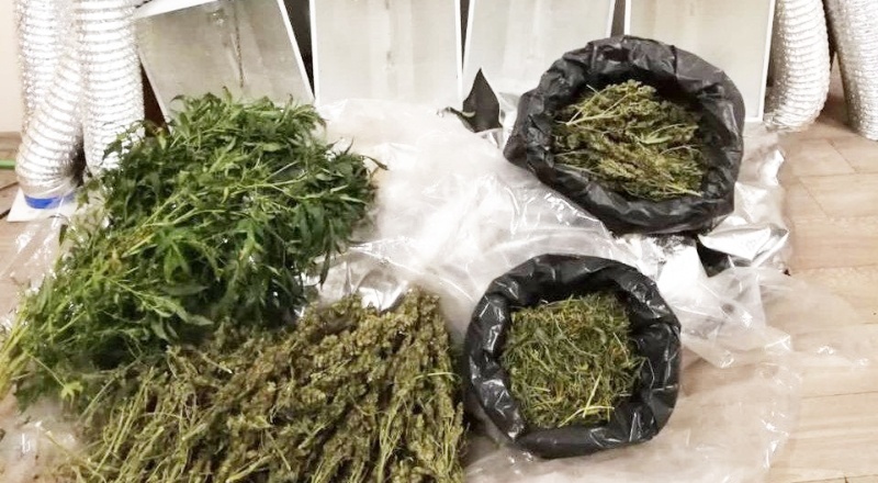 Esrar yetiştirmek için odaya kurduğu sistem polisleri de şaşırttı