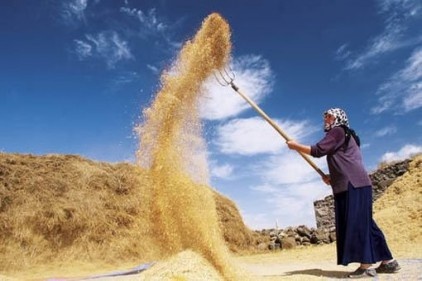 Et ithalatı yüzde 675, buğday ithalatı yüzde 148 arttı 