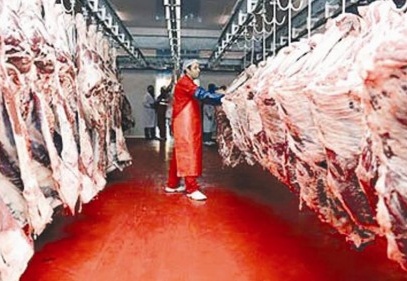 Et üreticisini "ithalatla terbiye"edemezsiniz