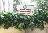 Evi, Hint keneviri tarlasına çevirmişler