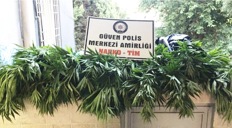 Evi, Hint keneviri tarlasına çevirmişler