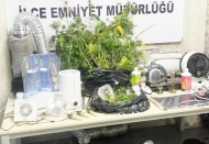 Evi uyuşturucu tarlasına dönüştürdüler