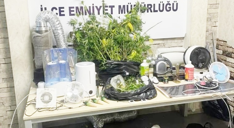 Evi uyuşturucu tarlasına dönüştürdüler