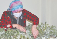 Evinin bir odasında 20 bin adet ipek böceği yetiştirdi