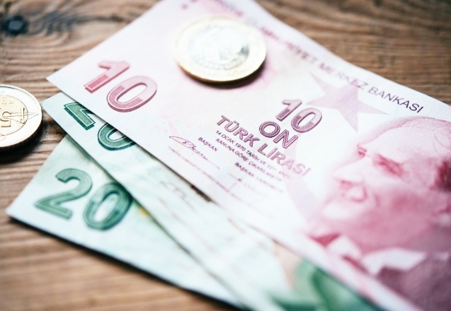 Evren Devrim Zelyut: Hazine ve Merkez Bankası 70 cent'e muhtaç durumda