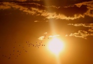 Eylül ayında 93 merkezde ekstrem sıcaklık rekoru