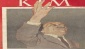 FAİK AHMET BARUTÇU’NUN DEMOKRASİ DERSİ…