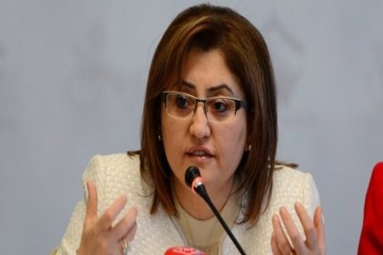Fama Şahin TESEV ORSAM çalıştayında konuşacak