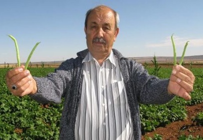 Fasulye üreten çiftçi destek bekliyor