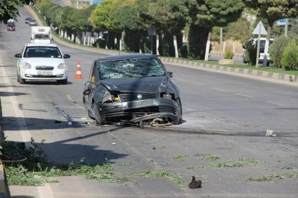 Fefüjdeki ağaçları deviren otomobil, karşı şeride uçtu
